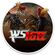 WS168